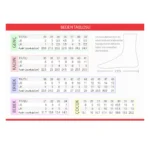 راهنمای انتخاب سایز