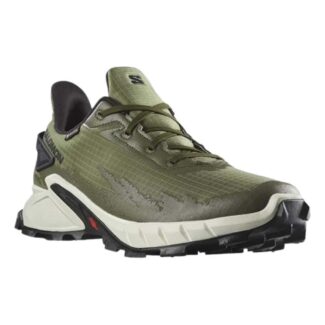 کفش outdoor Alphacrocss 4 Gtx  رنگ خاکی | Salomon | اورجینال